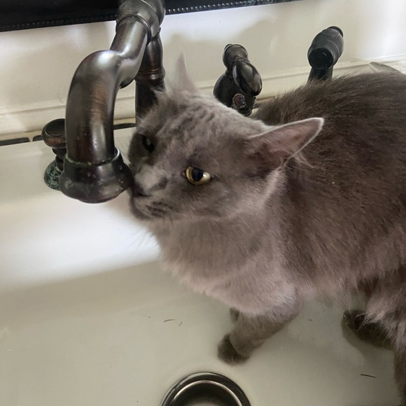 Meet your Posher, Amanda - Picture 2 of 8